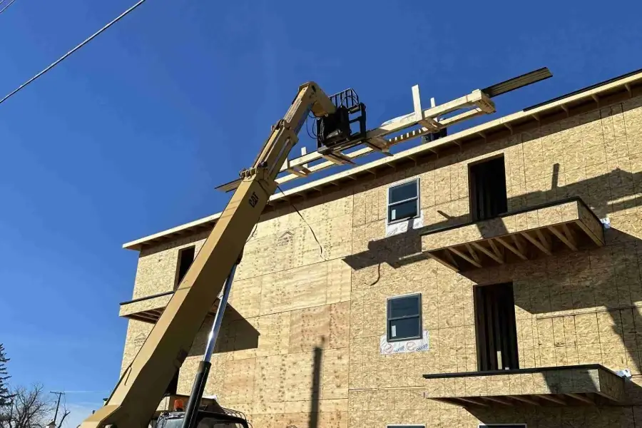 Professional Roofer Professional Roofer